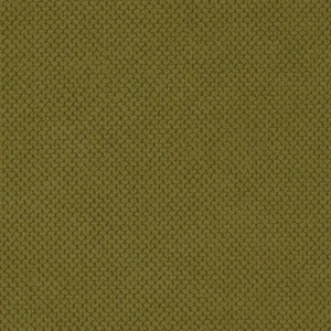curio-35