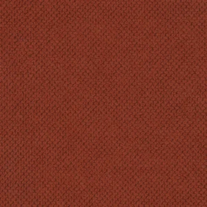 curio-55