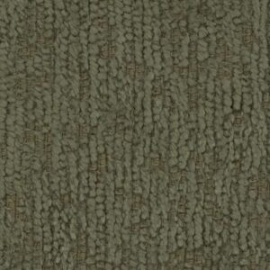 loris-38