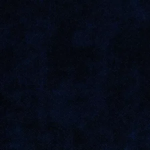 terra-79