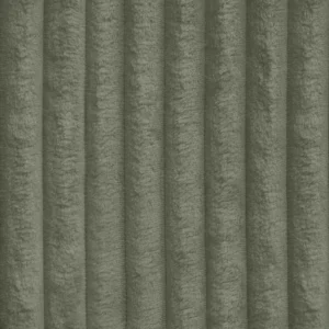 tilia-37