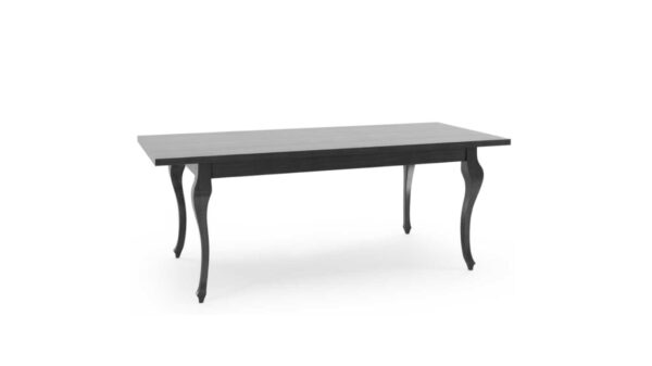 Stół rozkładany Santi 200x100 + wstawka 2x50cm FORNIR - obrazek 2