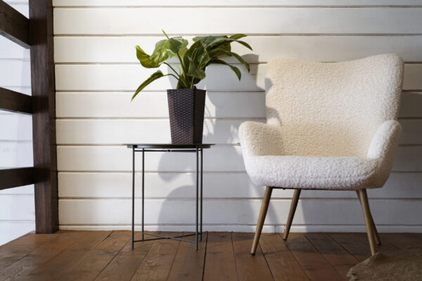 background-zoom-calls-with-chair-plant
